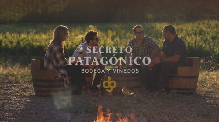 Secreto Patagónico . Bodegas y Viñedos